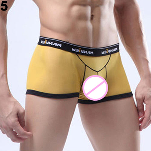 Men's Sexy Breathable See Through Mesh Boxers Bulge Pouch Briefs Underpants