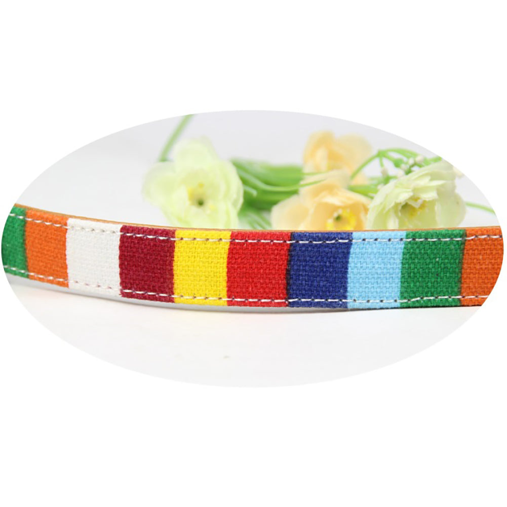 Bright Color Pet Walk Vest Dog Cat Safety Puppy Chest Strap Harness Collar Leash