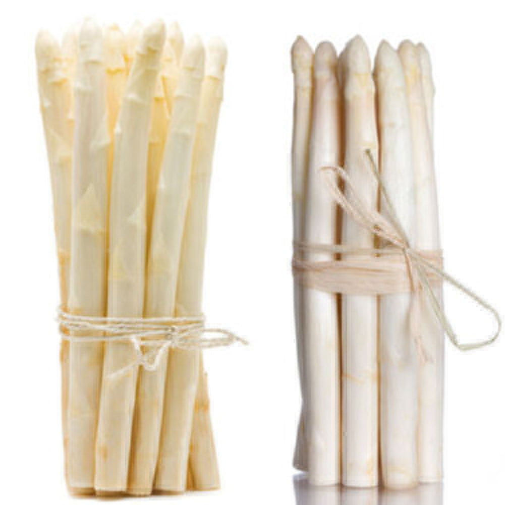 20Pcs Rare Non-GMO Perennials Plant Organic Vegetables White Asparagus Seeds