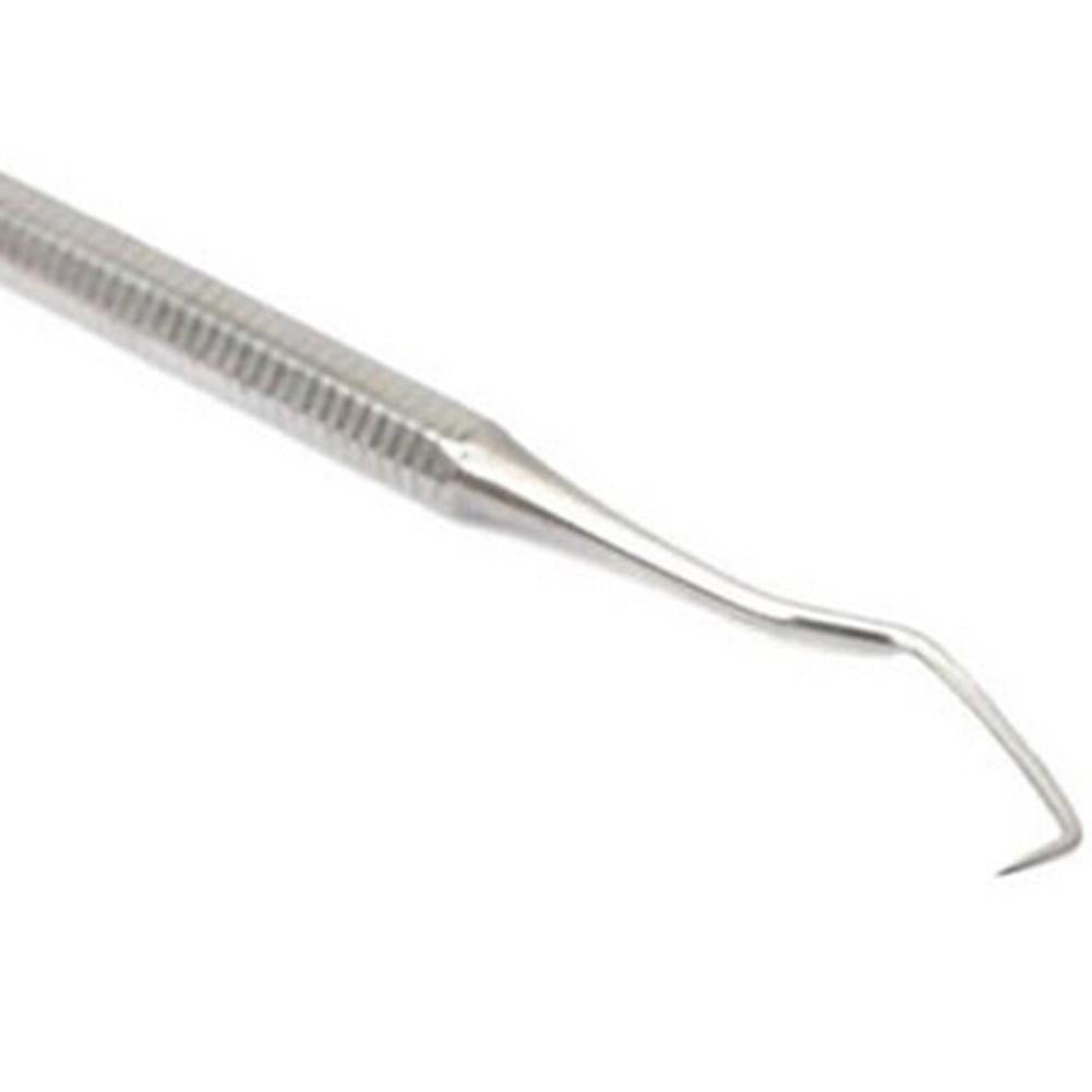 Stainless Steel Double End Hook Tooth Probe Dental Teeth Clean Hygiene Toothpick