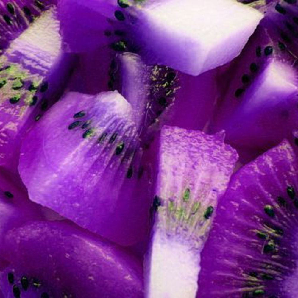 100Pcs Imported Kiwi Seeds Milk Taste Delicious Organic Fruit Home Garden Plant