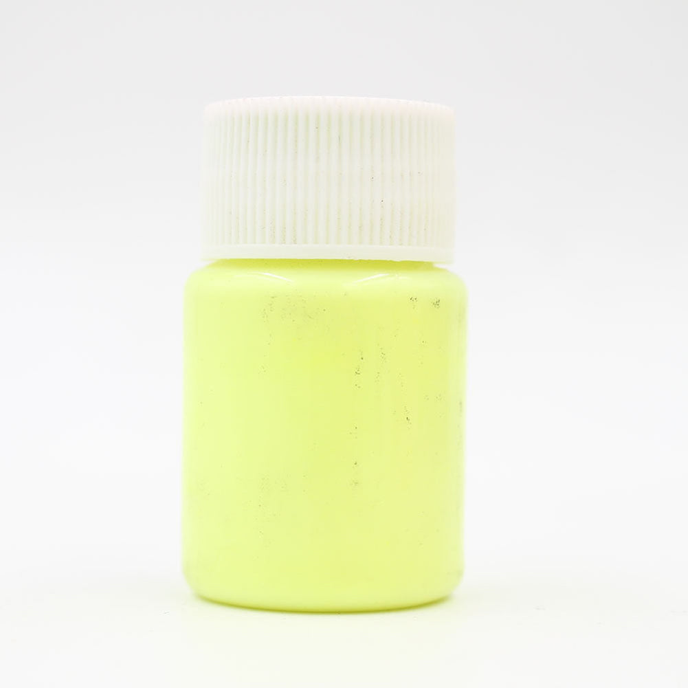 Glow in the Dark Luminous Paint Bright Pigment Body Skin Graffiti Party Decor