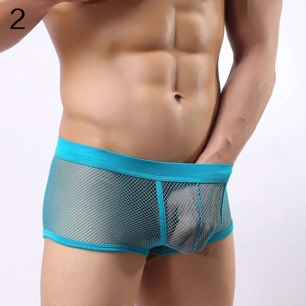 Men Underpants Mesh Sexy Boxers Briefs See-through Breathable Underwear