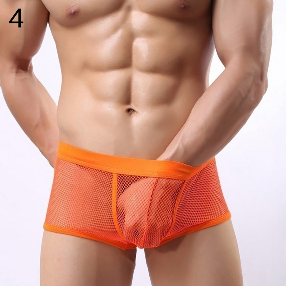 Men Underpants Mesh Sexy Boxers Briefs See-through Breathable Underwear