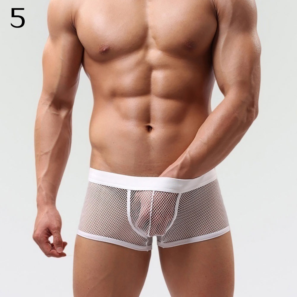 Men Underpants Mesh Sexy Boxers Briefs See-through Breathable Underwear