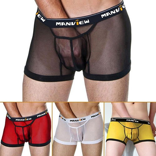 Men's Sexy Breathable See Through Mesh Boxers Bulge Pouch Briefs Underpants