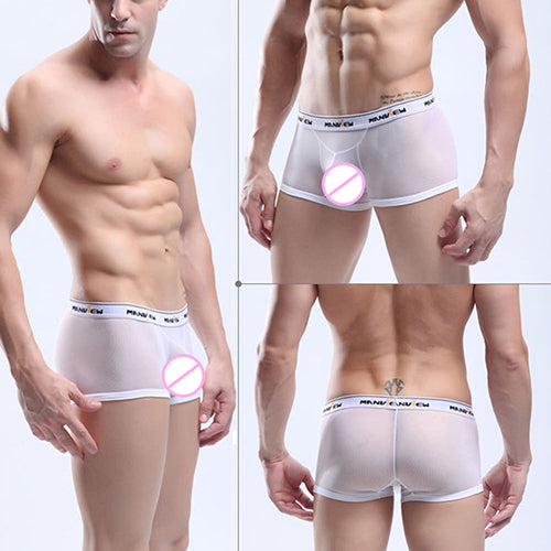 Men's Sexy Breathable See Through Mesh Boxers Bulge Pouch Briefs Underpants