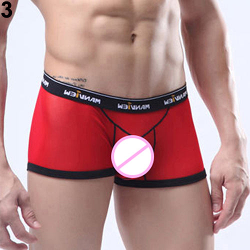 Men's Sexy Breathable See Through Mesh Boxers Bulge Pouch Briefs Underpants