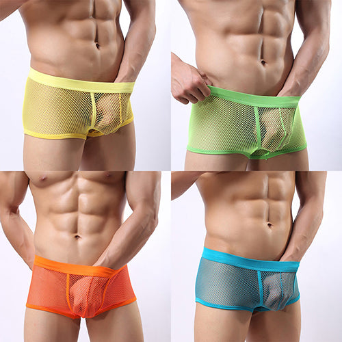 Men's Hot Sexy See Through Mesh Shorts Solid Low Waist Erotic Underpants Boxers