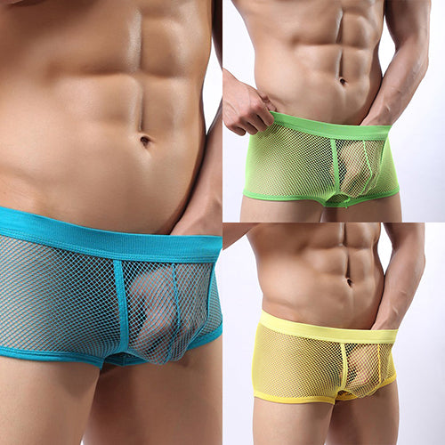 Men's Hot Sexy See Through Mesh Shorts Solid Low Waist Erotic Underpants Boxers