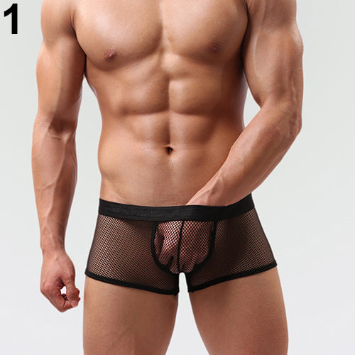 Men's Hot Sexy See Through Mesh Shorts Solid Low Waist Erotic Underpants Boxers