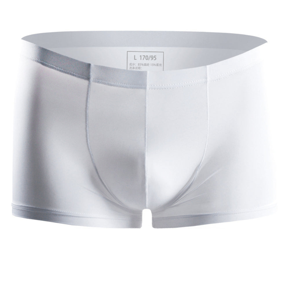 Men Underpants Mesh Sexy Boxers Briefs See-through Breathable Underwear