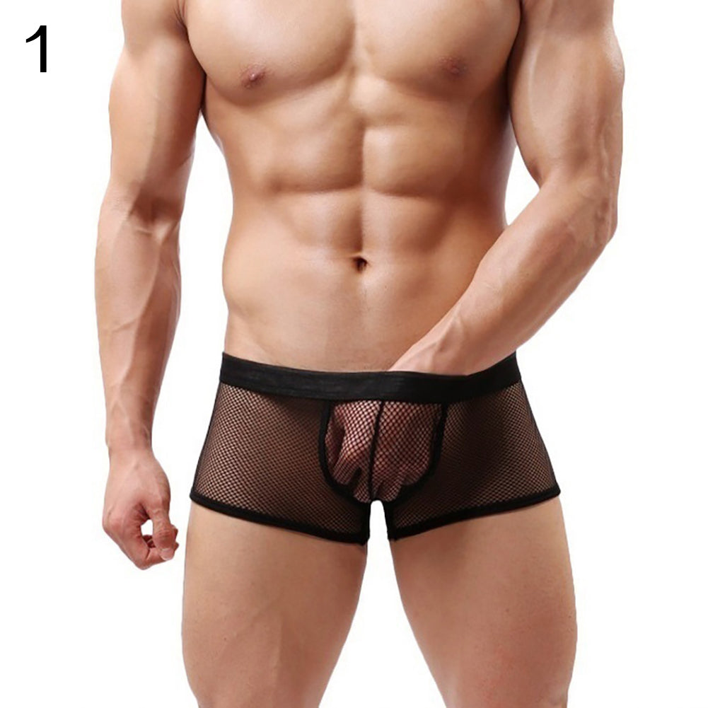 Men Underpants Mesh Sexy Boxers Briefs See-through Breathable Underwear