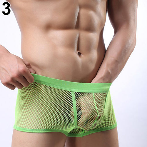 Men's Hot Sexy See Through Mesh Shorts Solid Low Waist Erotic Underpants Boxers