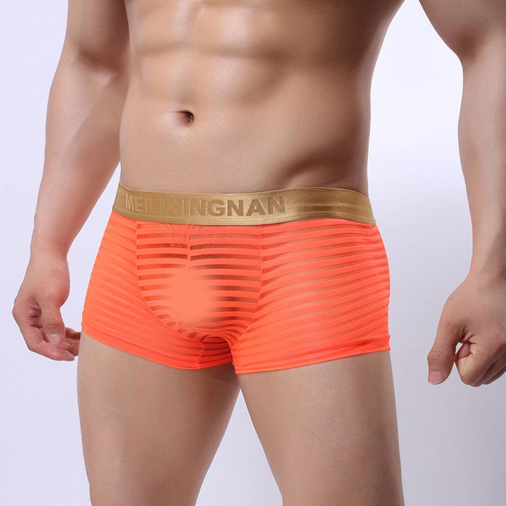 Men's Hot Sexy See Through Mesh Shorts Solid Low Waist Erotic Underpants Boxers