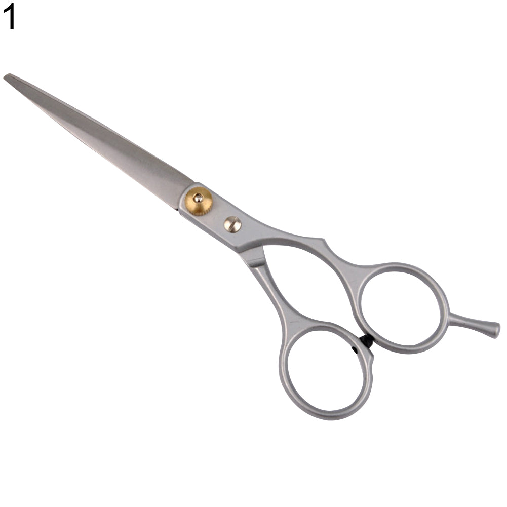 Professional Salon Barber Hair Cutting Thinning Stainless Steel Scissors Tool