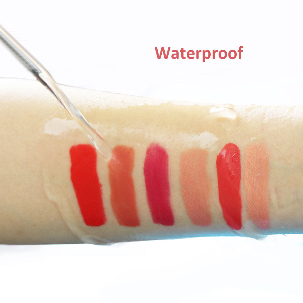 Waterproof Mini Liquid Lipstick Set Nude Gloss Lip Matte Velvet Makeup Cosmetics