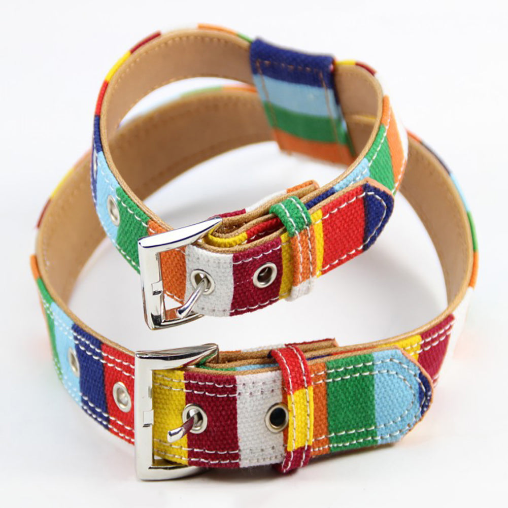 Bright Color Pet Walk Vest Dog Cat Safety Puppy Chest Strap Harness Collar Leash