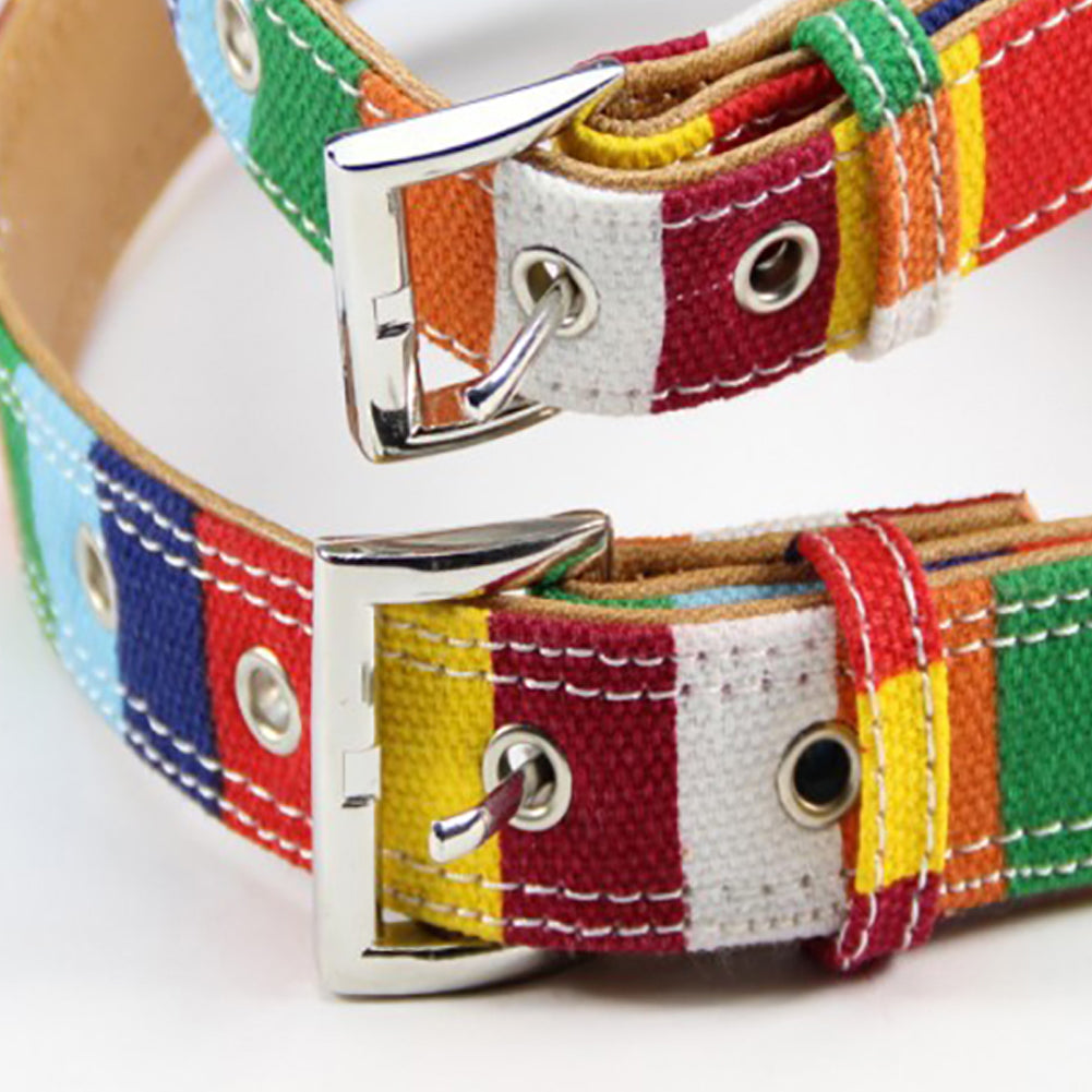 Bright Color Pet Walk Vest Dog Cat Safety Puppy Chest Strap Harness Collar Leash