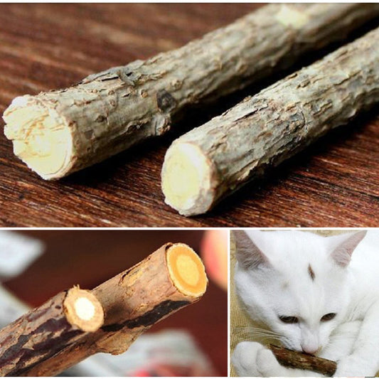 10Pcs Cat Teeth Cleaning Stick Pure Natural Catnip Kitty Molar Toothpaste Rods