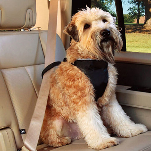 Universal Car Dog Harness Leash Nylon Pet Safety Chest Strap Vest Seat Belt