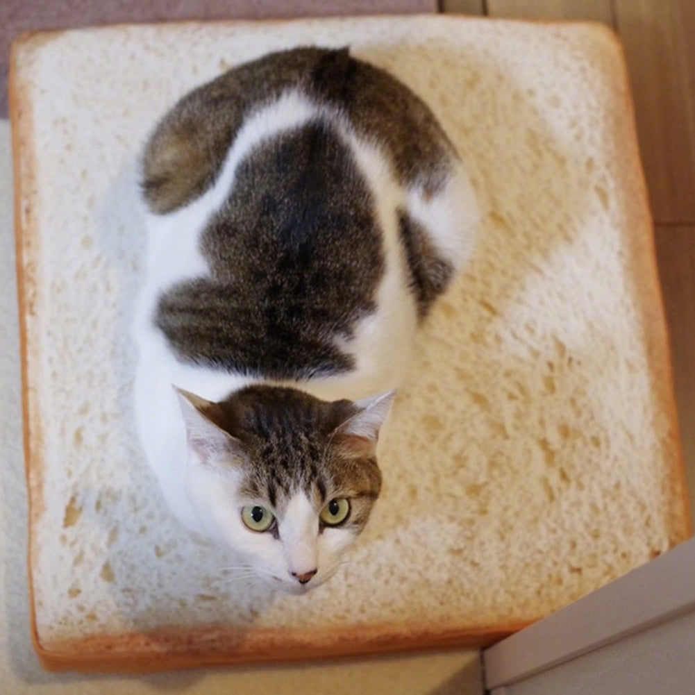 Creative Cute Soft Toast Slice Bread Shape Sponge Filler Pet Cat Bed Mat Cushion