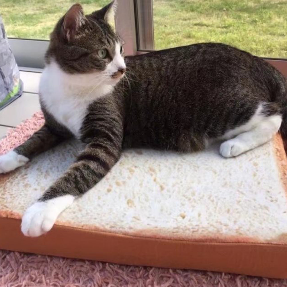 Creative Cute Soft Toast Slice Bread Shape Sponge Filler Pet Cat Bed Mat Cushion