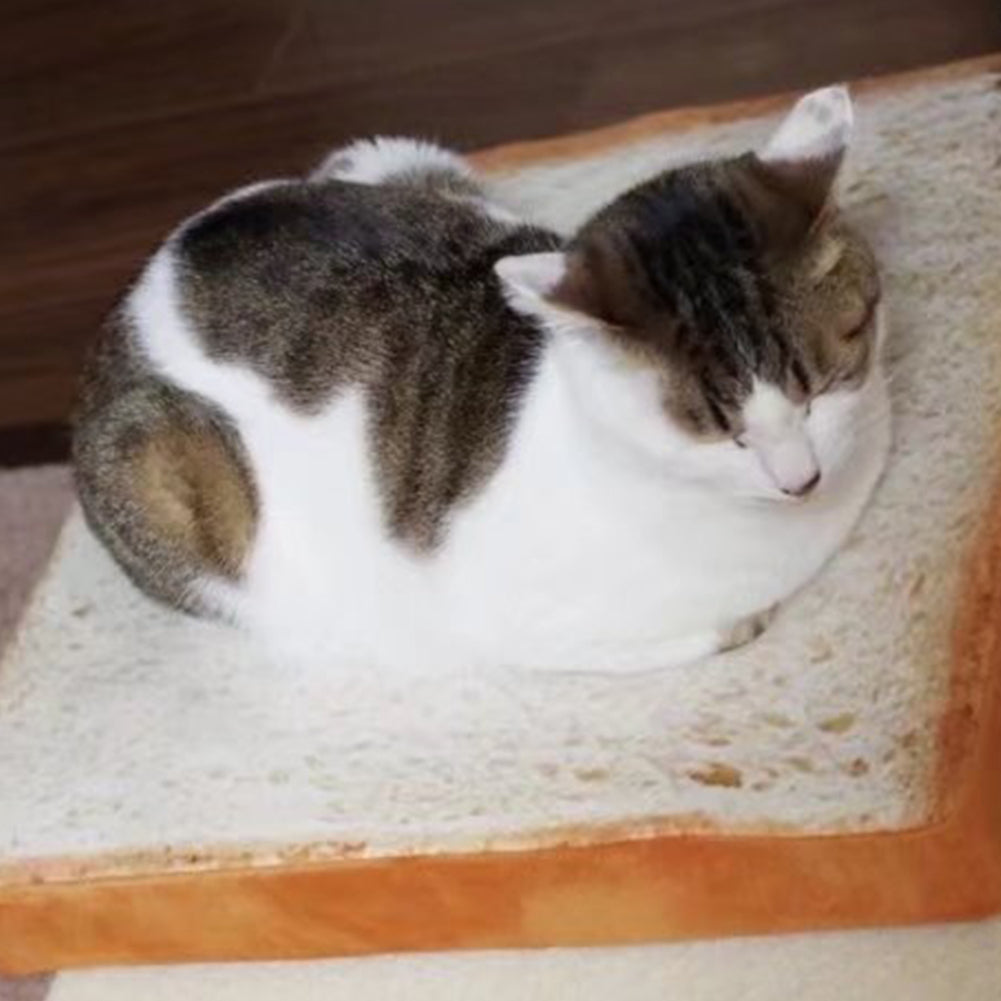 Creative Cute Soft Toast Slice Bread Shape Sponge Filler Pet Cat Bed Mat Cushion