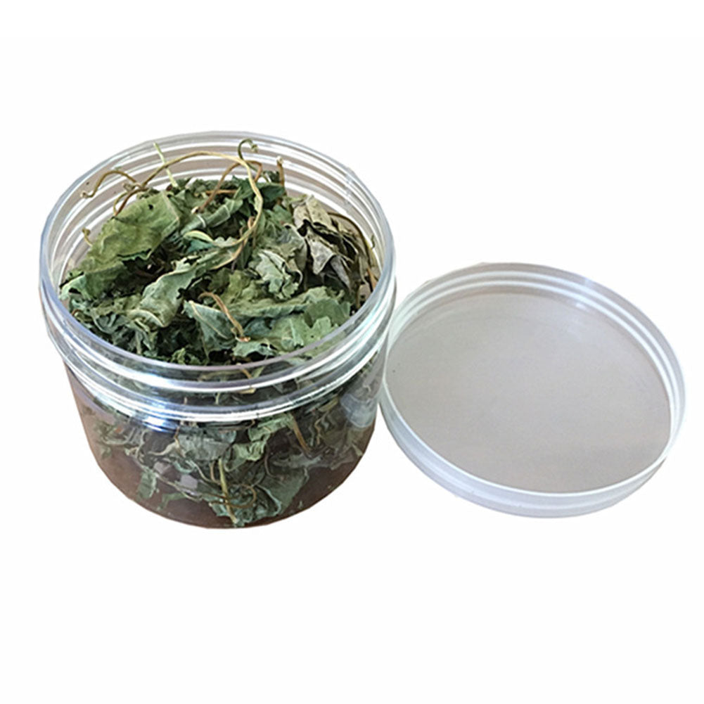 Cat Kitten Natural Matatabi Leaves Snacks Catnip Improve Appetite Pet Supplies