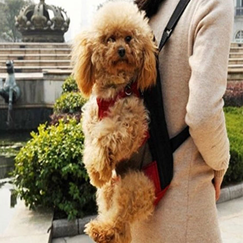 Pet Dogs Cats Outdoor Carrier Backpack Canvas Legs Out Front Shoulder Bag