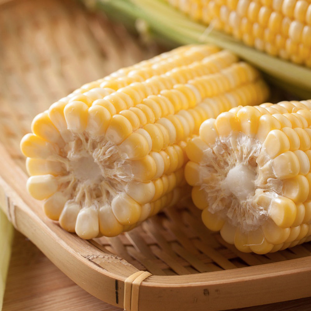 40 Pcs Yellow Corn Seeds Organic Easy Grow Vegetable Farm Yard Garden Plants