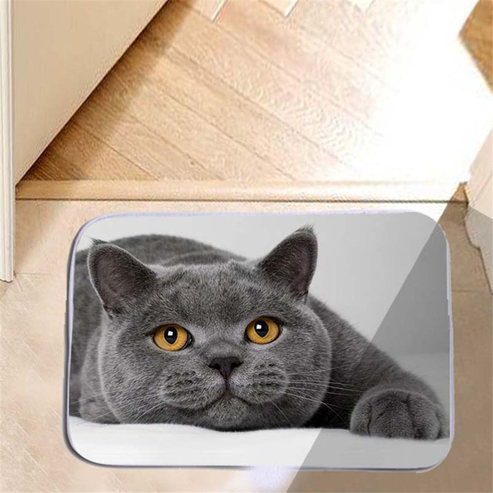 Kitten Water Absorbing Floor Bath Mat Toilet Room Memory Foam Anti-slip Doormat