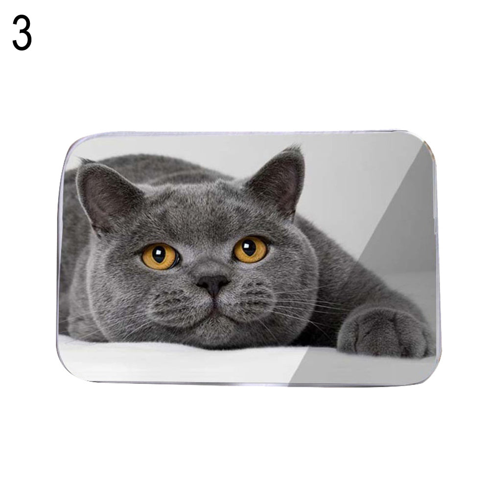 Kitten Water Absorbing Floor Bath Mat Toilet Room Memory Foam Anti-slip Doormat