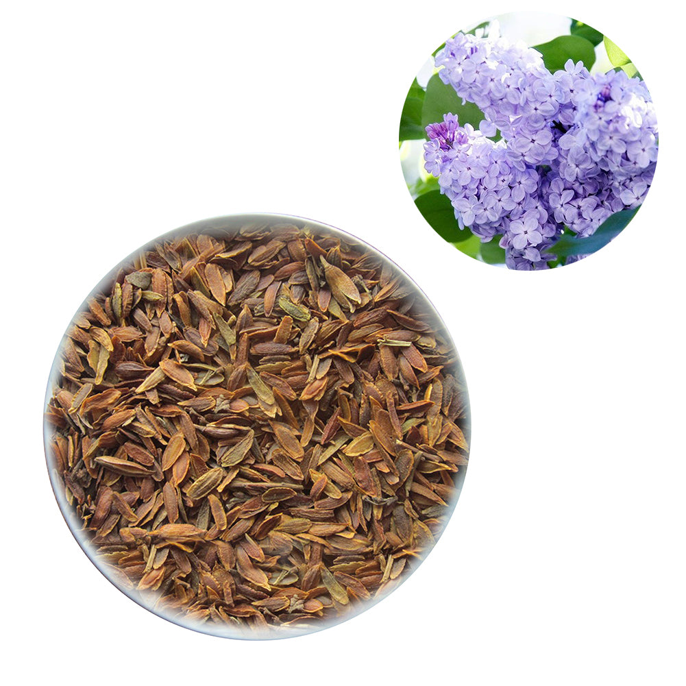 50Pcs Lilac Flower Seeds Clove DIY Home Garden Plant Potted Bonsai Decoration