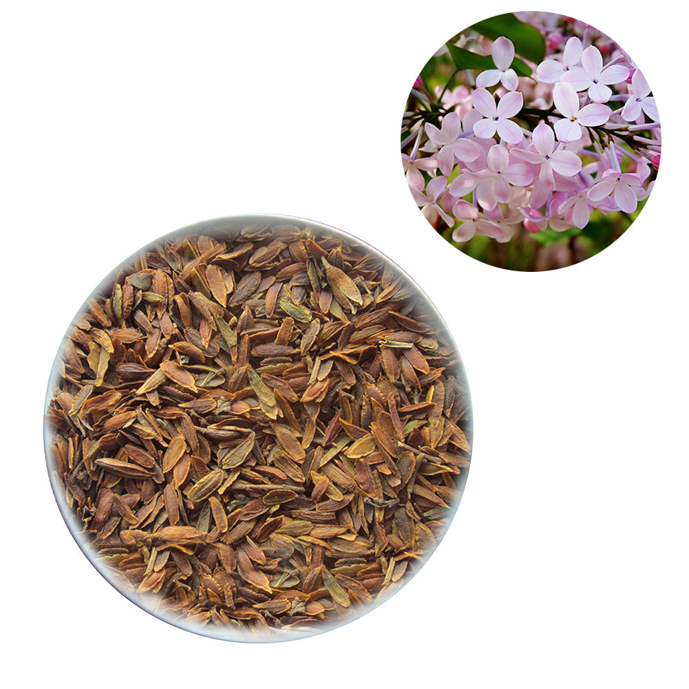 50Pcs Lilac Flower Seeds Clove DIY Home Garden Plant Potted Bonsai Decoration