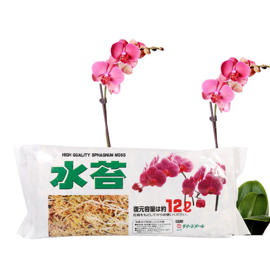 12L Garden Supply Sphagnum Moss Phalaenopsis Orchid Soilless Culture Fertilizer