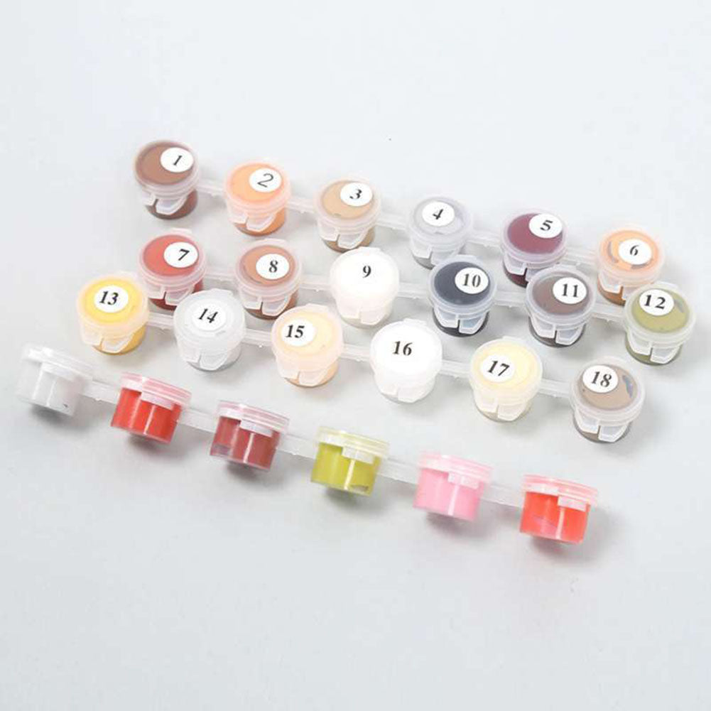 40x50cm Bridge Scenery Ballet Woman DIY Oil Painting Paint By Numbers Kit Decor