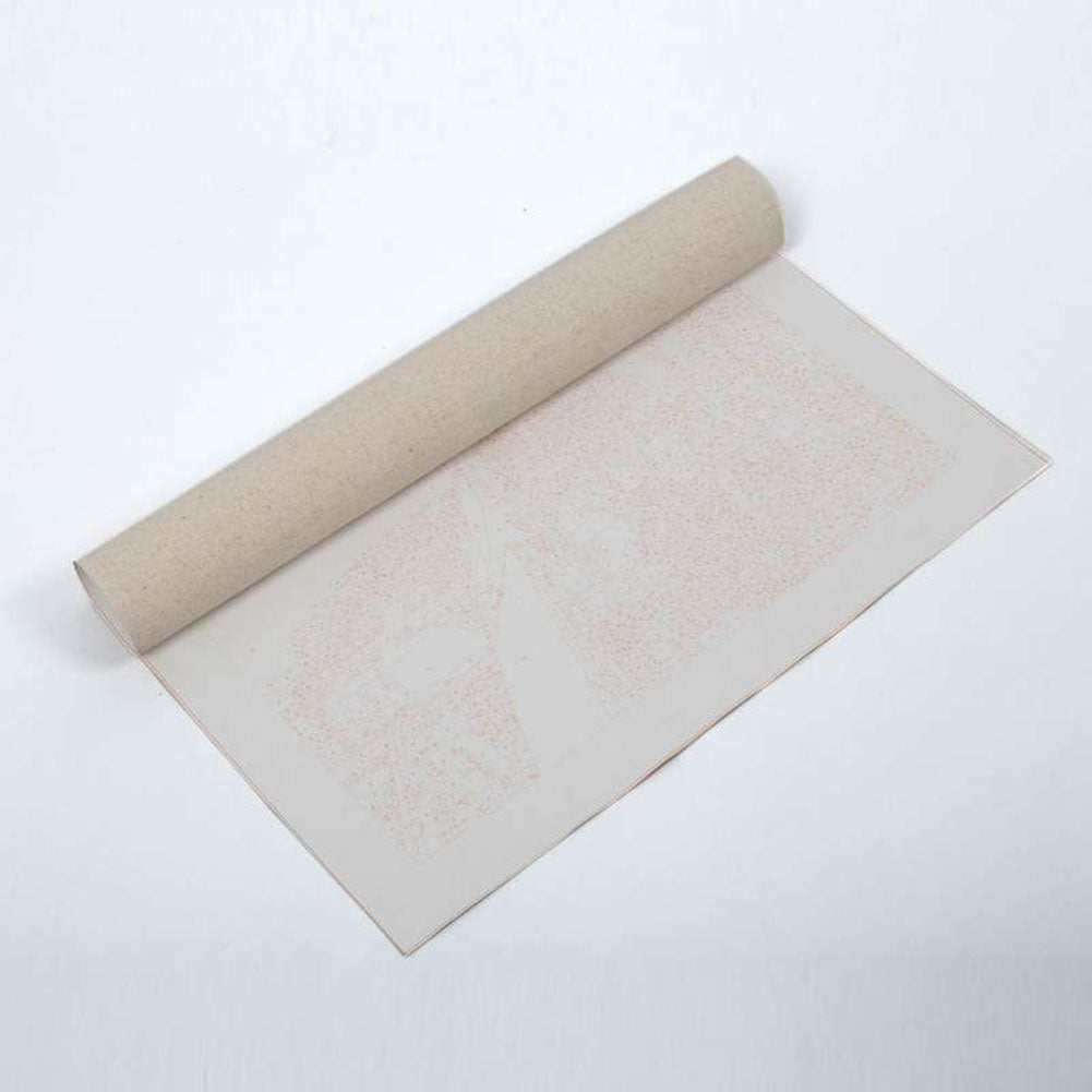 40x50cm Bridge Scenery Ballet Woman DIY Oil Painting Paint By Numbers Kit Decor