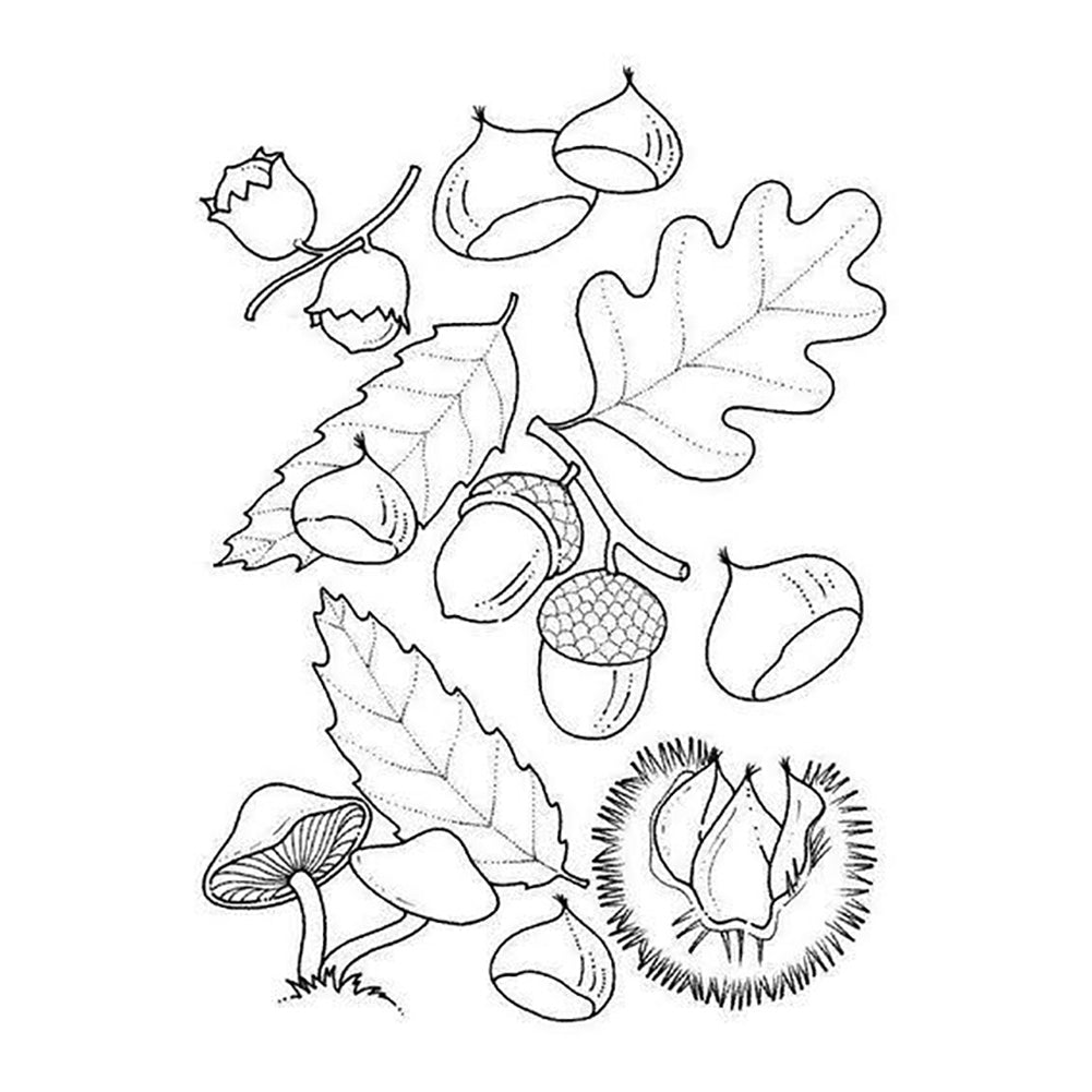 Filbert Chestnut Silicone Clear Stamper DIY Scrapbook Album Paper Cards Tool