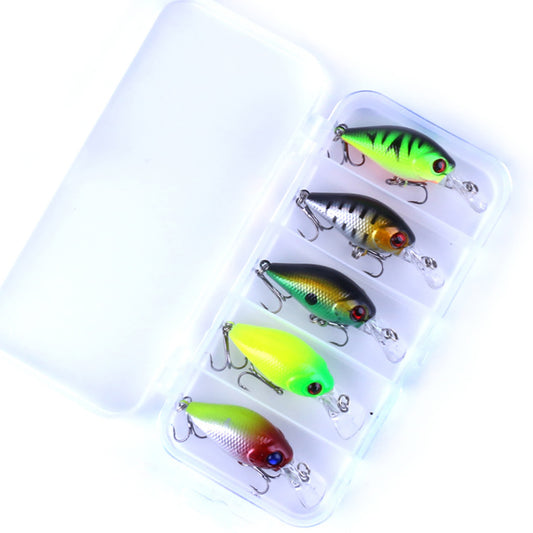 5Pcs Fishing Lure Minnow Floating Crankbait Bait Jig Hook Set with Tackle Box