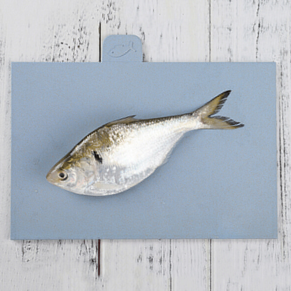 4Pcs Wheat Straw Non-slip Cutting Board Rectangle Chopping Block with Holder