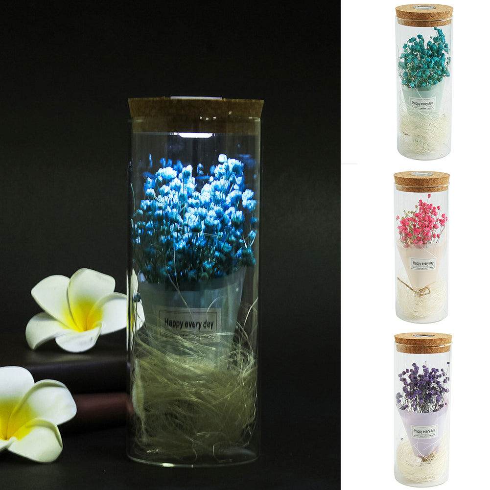 Dry Flower Glass Jar Display LED Light Desk Table Holiday Office Home Decoration