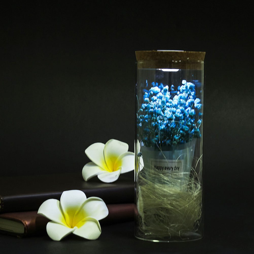 Dry Flower Glass Jar Display LED Light Desk Table Holiday Office Home Decoration