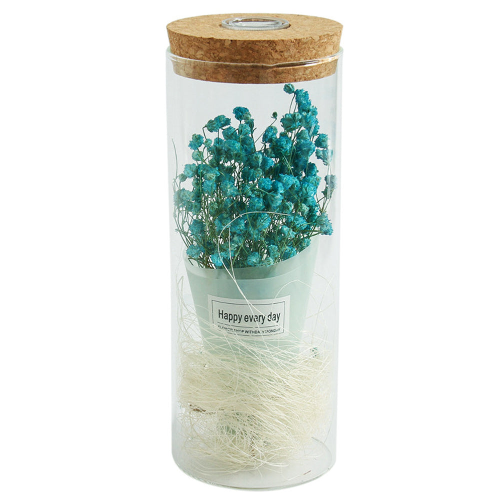 Dry Flower Glass Jar Display LED Light Desk Table Holiday Office Home Decoration