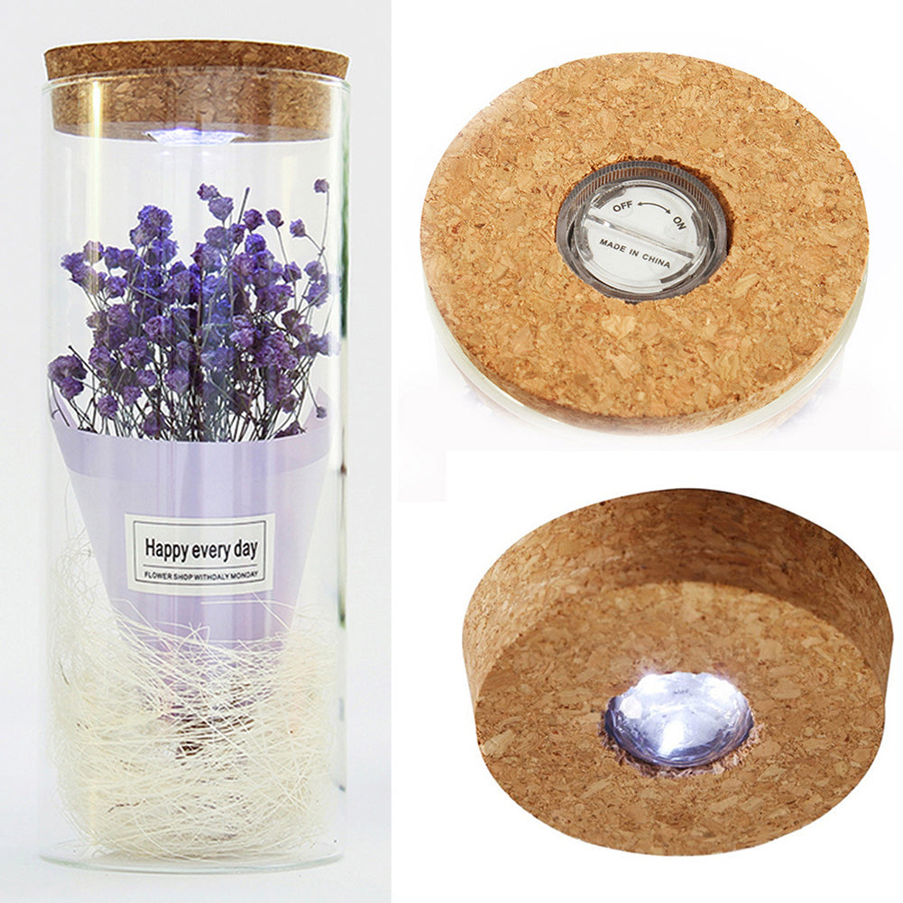Dry Flower Glass Jar Display LED Light Desk Table Holiday Office Home Decoration