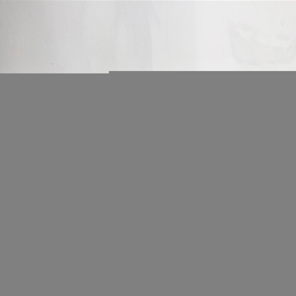 qiaojiahuayuan/30 YH-0643/canvas/Printed picture/Abstract still life zebra