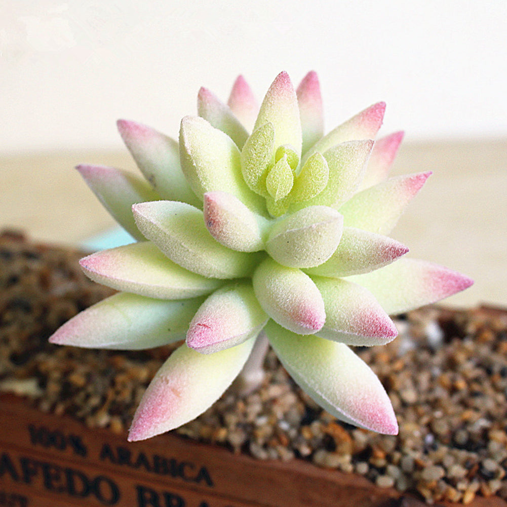 1Pc Simulation Succulent Plants PVC Mini Artificial Bonsai DIY Home Hotel Decor