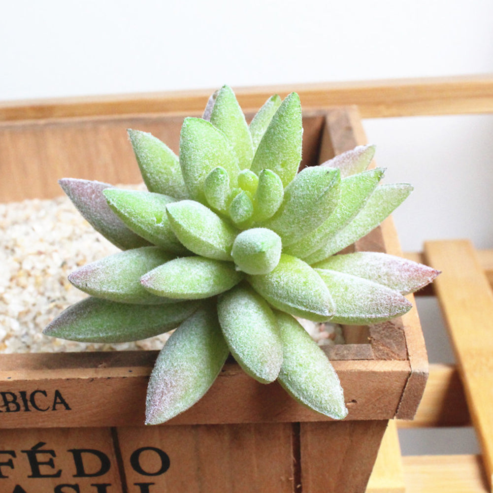 1Pc Simulation Succulent Plants PVC Mini Artificial Bonsai DIY Home Hotel Decor