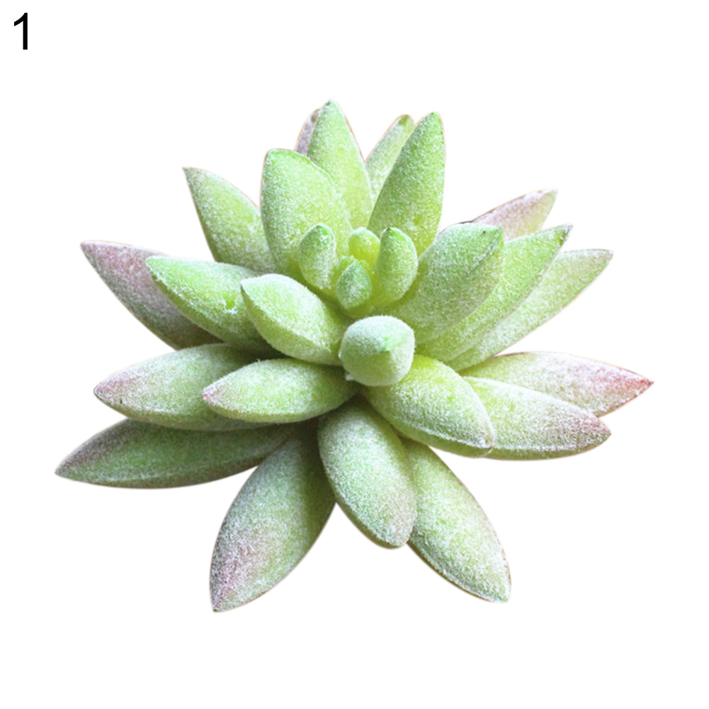 1Pc Simulation Succulent Plants PVC Mini Artificial Bonsai DIY Home Hotel Decor