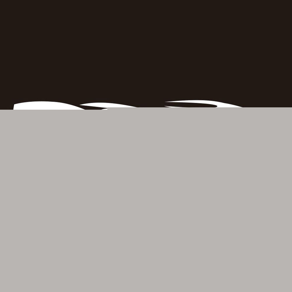 4Pcs Popular Car Decal Flame Totem Graphics Side Body Hood Sticker Decoration